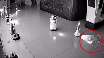 Robot 'nhí' rủ rê bạn bè... 'bỏ việc'