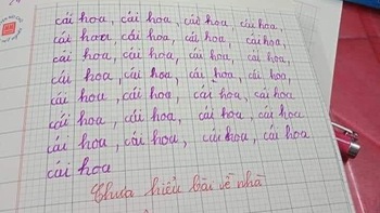 Ảnh vui 9-11: Cô giáo yêu cầu viết '29 chữ cái hoa' và cái kết