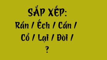 Thử tài tiếng Việt: Sắp xếp các từ sau thành câu có nghĩa (P165)