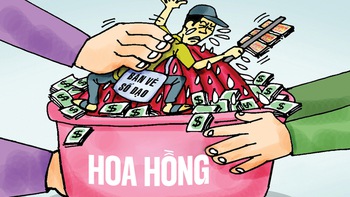 Hoa hồng cho người bán vé số dạo