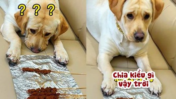 Chú chó giận hờn khi sen chia thịt nướng không đều