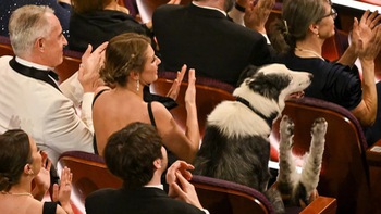 Quên John Cena đi, Oscar còn có chú chó Messi biết vỗ tay