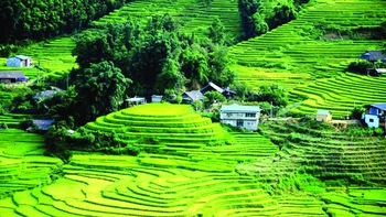 Thành phố trong sương