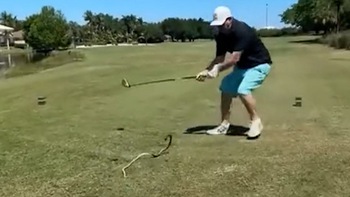 Người đàn ông chơi golf bị rắn dí chạy trối chết
