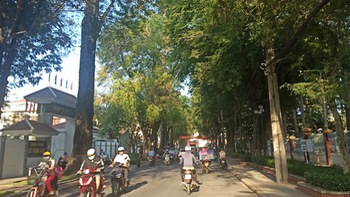 Những con đường xanh trân quý ở Trà Vinh quê hương tôi
