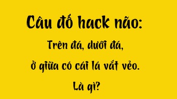 Câu đố hack não: Trên đá, dưới đá, ở giữa có cái lá vắt vẻo là gì?