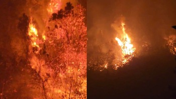 Hai kiểm lâm tử nạn khi chữa cháy rừng ở Hà Giang