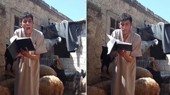 Chàng trai cầm sách dạy đàn cừu đánh vần