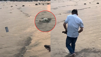Chàng trai thả cá phóng sinh quăng nhầm iPhone xuống biển