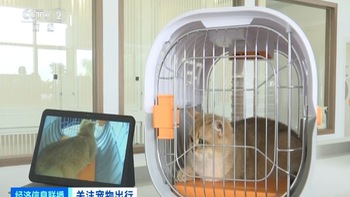 Trung Quốc khai trương phòng chờ cho thú cưng ở sân bay