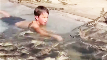 Cậu bé bơi cùng đàn cá sấu nhìn ớn lạnh