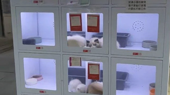 Máy bán thú cưng tự động khiến hội yêu động vật xôn xao