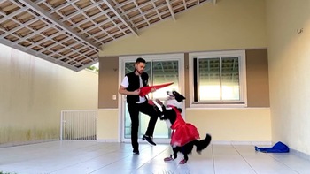 Chú chó nhảy múa như vũ công chuyên nghiệp