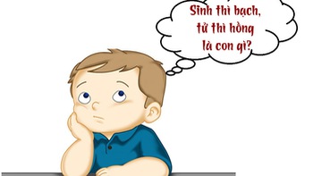 Sinh thì bạch, tử thì hồng là con gì?