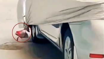 Ô tô trầy xước khi buộc gạch giữ bạt phủ nóc xe