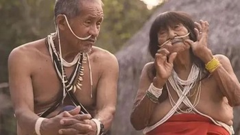Bộ lạc ở rừng rậm Amazon nghiện 'phim nóng' sau khi có Internet