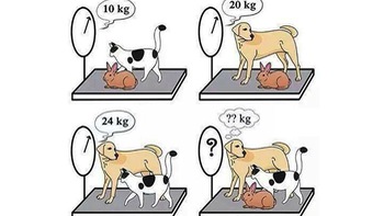 Câu đố hack não: Tìm cân nặng chó, mèo và thỏ trong 15 giây