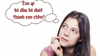 Đố vui: Con gì bỏ đầu bỏ đuôi thành con chim?