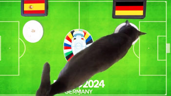 Mèo mun dự đoán tuyển Đức thắng Tây Ban Nha ở tứ kết Euro 2024