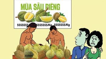 Vui buồn mùa sầu riêng