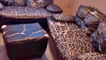 Ảnh vui 9-9: Khuyến mãi bộ sofa họa tiết da beo