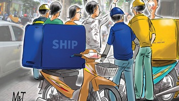 Shipper rối não với ma trận số nhà