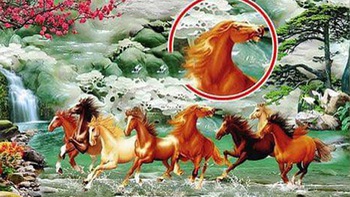 Vì sao một con ngựa trong tranh 'Mã đáo thành công' quay đầu ngược lại?