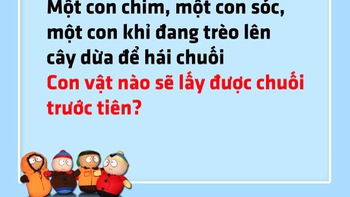 Chim, sóc và khỉ cùng thi đua hái chuối, con nào thắng?