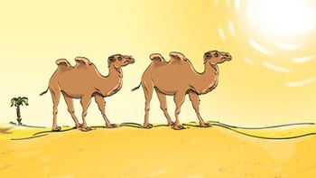 Điểm vô lý trong tranh lạc đà đi trên sa mạc là gì?