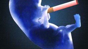 Thử đề khởi một phong cách văn hóa thuốc lá tại VN