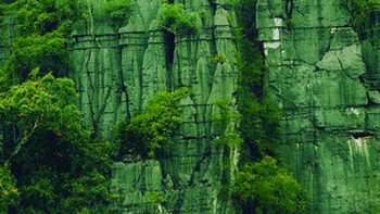 "Phong Nha ơi, mở ra"