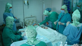 Tế bào gốc và những hi vọng đã gieo