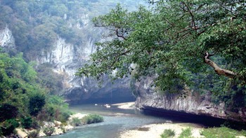 Khu động táng lớn nhất Việt Nam