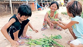 Chỉ là gỗ mọc lên vào mùa hè...