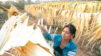 Làng phơi lá buông