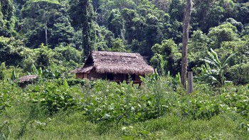 Sống giữa kỳ quan