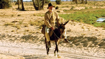 Giám khảo cũng phải hầu tòa