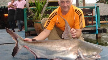 Săn tìm cá vồ cờ