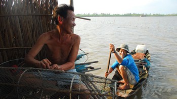 Trên đầm Thị Tường