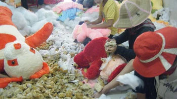 "Mổ ruột" thú bông