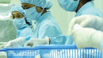 Thuốc nội, nuông chiều khó lớn