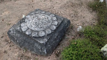 Tìm bông sen dưới chân mình