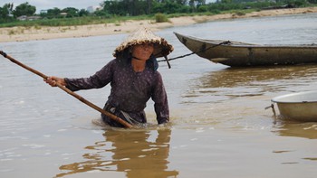 Người mò don già trên sông Trà