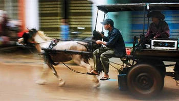 Lối xưa xe ngựa...