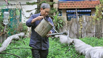 Nông dân ở phố