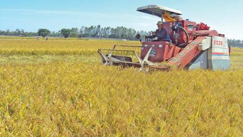 Ông "tam nông" ở miền Tây