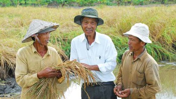 Đi thăm đồng lúa "bờ đê ca hát"