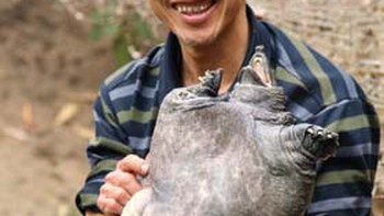 Về xứ ba ba gai