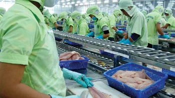 Chuyên đề: Con cá tra bị chặt mấy khúc?