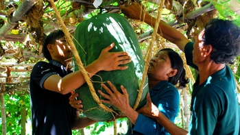 Sản vật khổng lồ